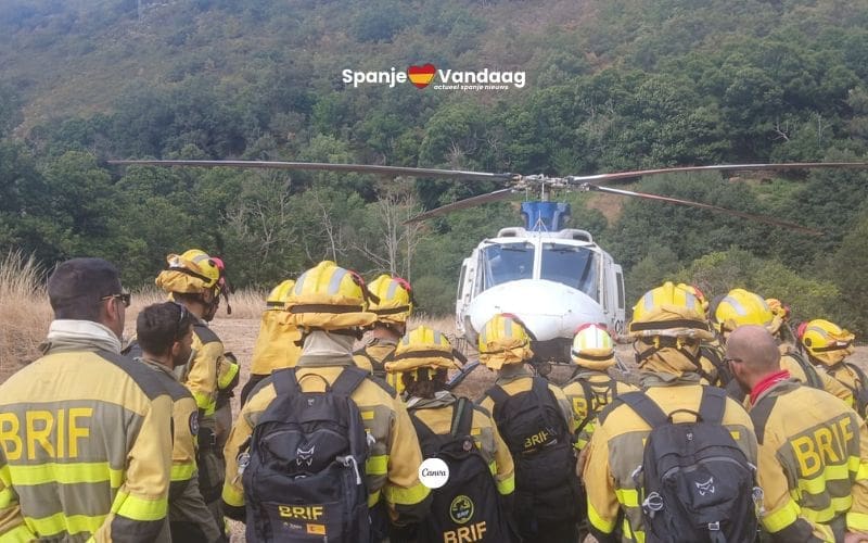 Bosbrandbestrijders krijgen loonsverhoging en strengere werkroosters in Spanje