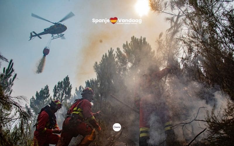 Spanje zet breed arsenaal in tegen natuur- en bosbranden inclusief Nederlandse hulp