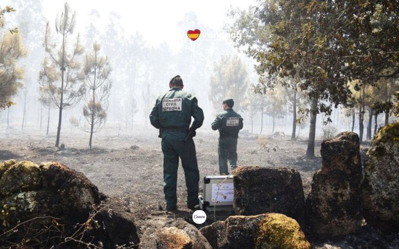 Zomer vol branden leidt tot 27 arrestaties en 83 onderzoeken in Spanje