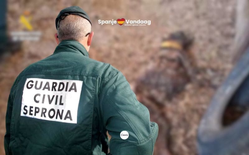 32 honden sterven van de honger op verlaten terrein in Extremadura