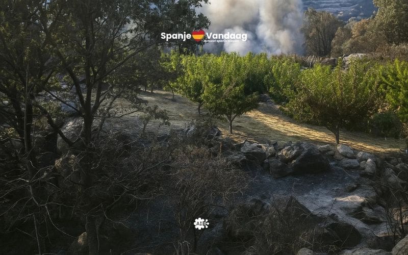 Hoe kersenbomen in Extremadura een natuurbrand stopte