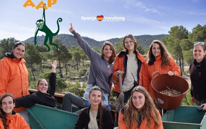 Vrijwilligerswerk bij Stichting AAP Primadomus aan de Costa Blanca