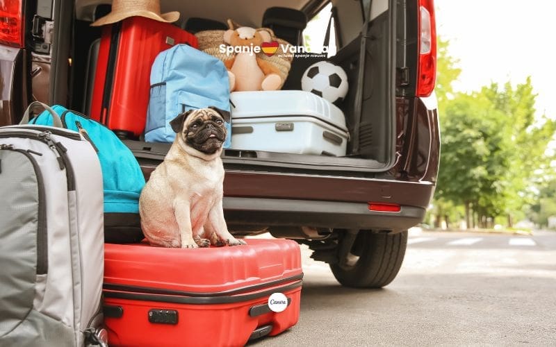 Miljoenen toeristen met de auto naar Spanje en de impact op de verkeersveiligheid