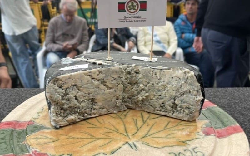 Kaas in Asturië verbreekt Guinness-record met 37.000 euro bij veiling, maar valt daarna op de grond