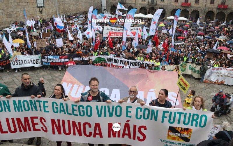 Duizenden eisen betere bescherming tegen bosbranden in Galicië en Castilla y León