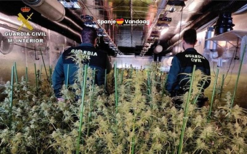 Politie ontdekt enorme wietplantage in door buitenlanders gehuurde caravanstalling in Alicante