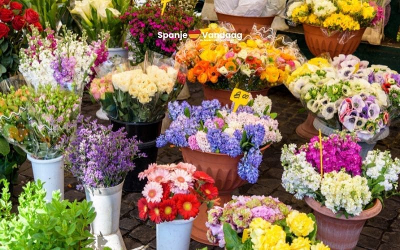 Bloemisten in Spanje verwachten drukte en hogere bestedingen rond Allerheiligen