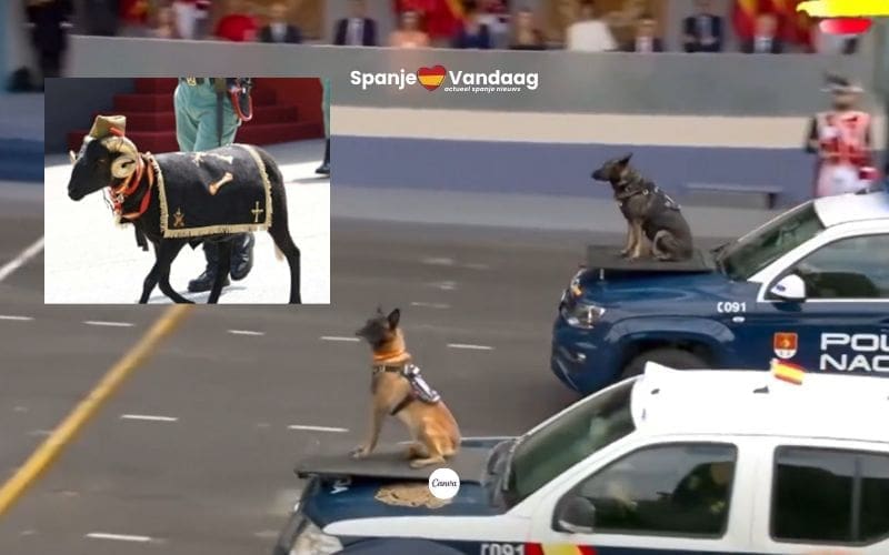 Politiehonden, ram en paarden stelen de show bij de parade op de Día de la Hispanidad in Spanje