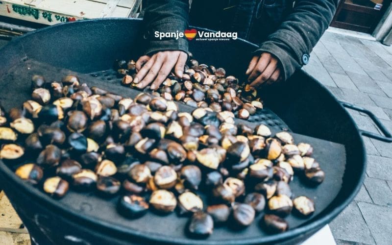 Het kastanjefeest of ‘castañada’ begint weer in Spanje