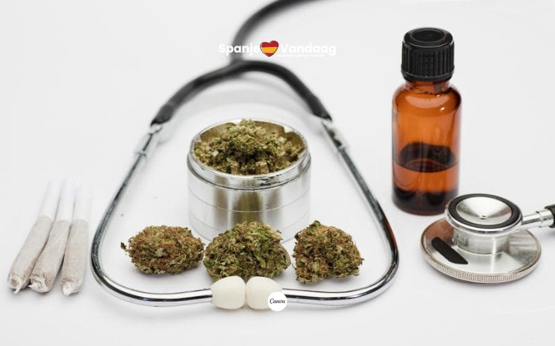 Spanje legaliseert het gecontroleerde gebruik van medicinale cannabis