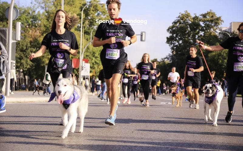 Meer dan 5.000 deelnemers renden mee met een hondenmarathon in Madrid tegen dierenmishandeling