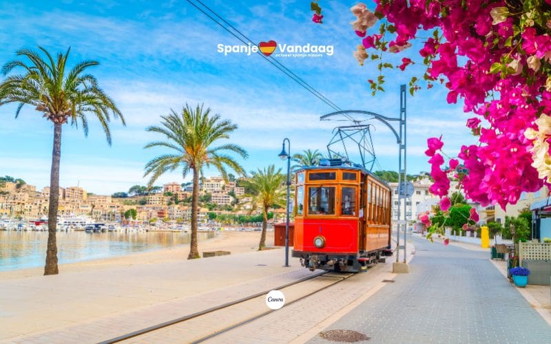 Top 10 beste plekken om te overwinteren op Mallorca