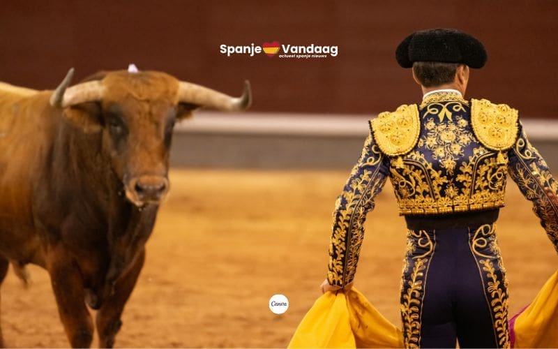 Spaans Congres houdt nationale bescherming van stierengevechten overeind