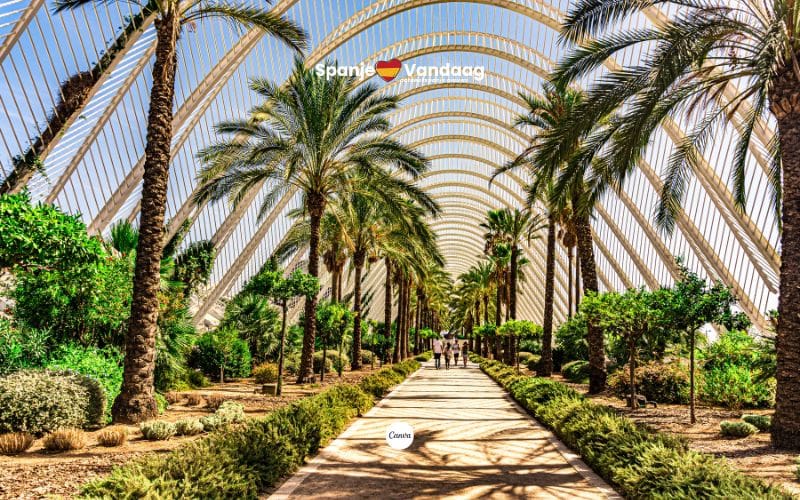 Valencia uitgeroepen tot beste stad ter wereld om met pensioen te gaan