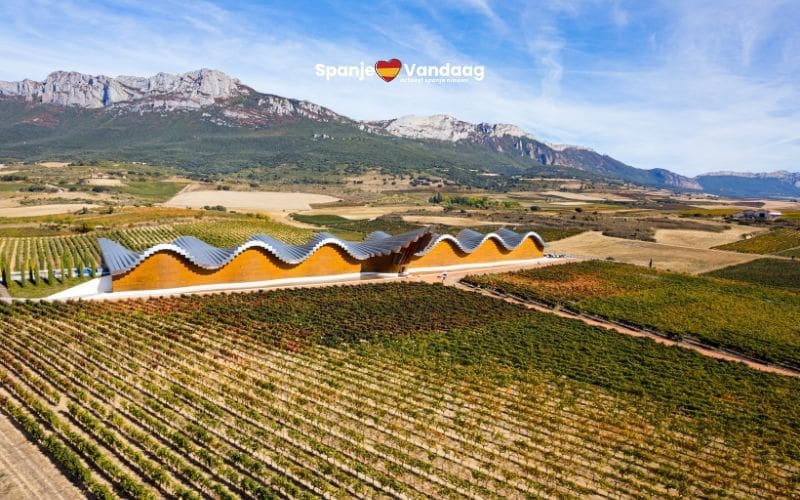 Acht Spaanse wijnhuizen behoren tot de beste van de wereld in 2025