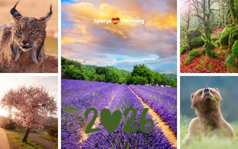 Twaalf unieke bestemmingen voor elke maand van 2026 in Spanje