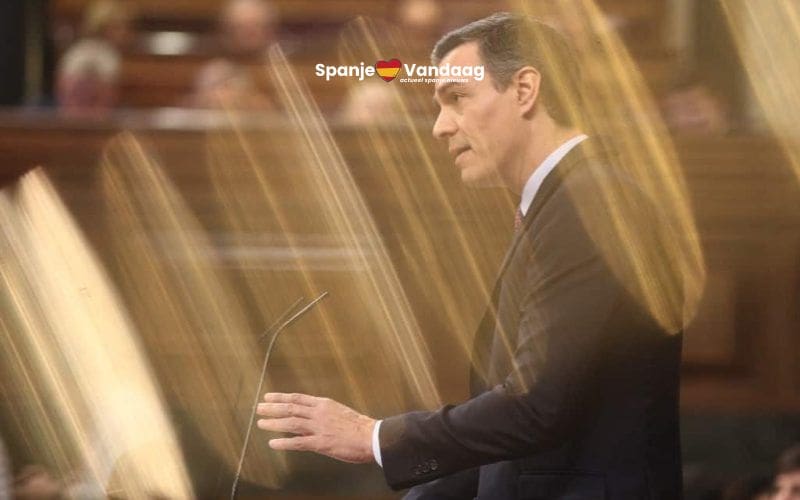 Nieuwe Me Too-golf brengt grote onrust binnen de PSOE-partij in Spanje