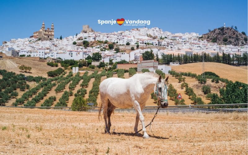 56 dorpen in Andalusië zoeken nieuwe bewoners en bieden goedkope huren en werk