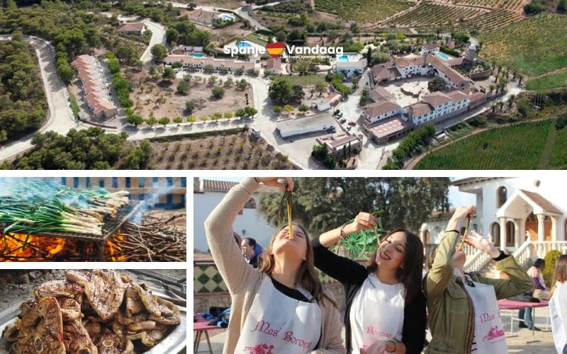 SpanjeVandaag bezoekt: Mas Baronat aan de Costa Dorada voor een traditionele calcotada