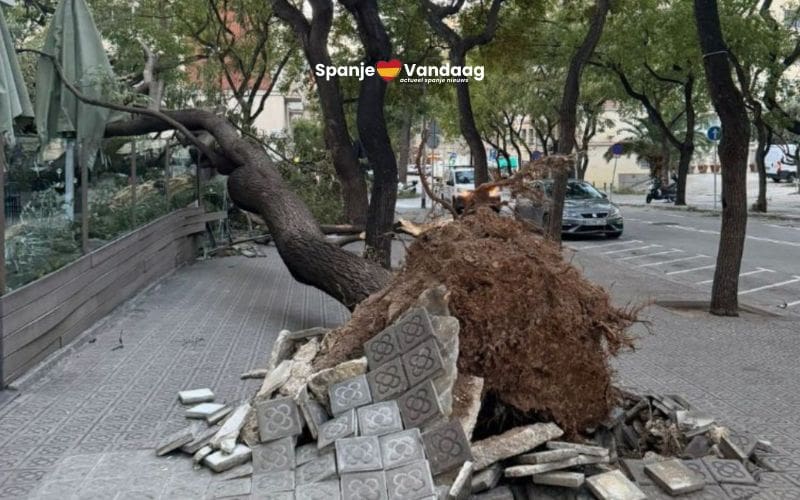 Storm Nils zorgde met zware wind en regen in Catalonië voor  schade, gewonden en een dode