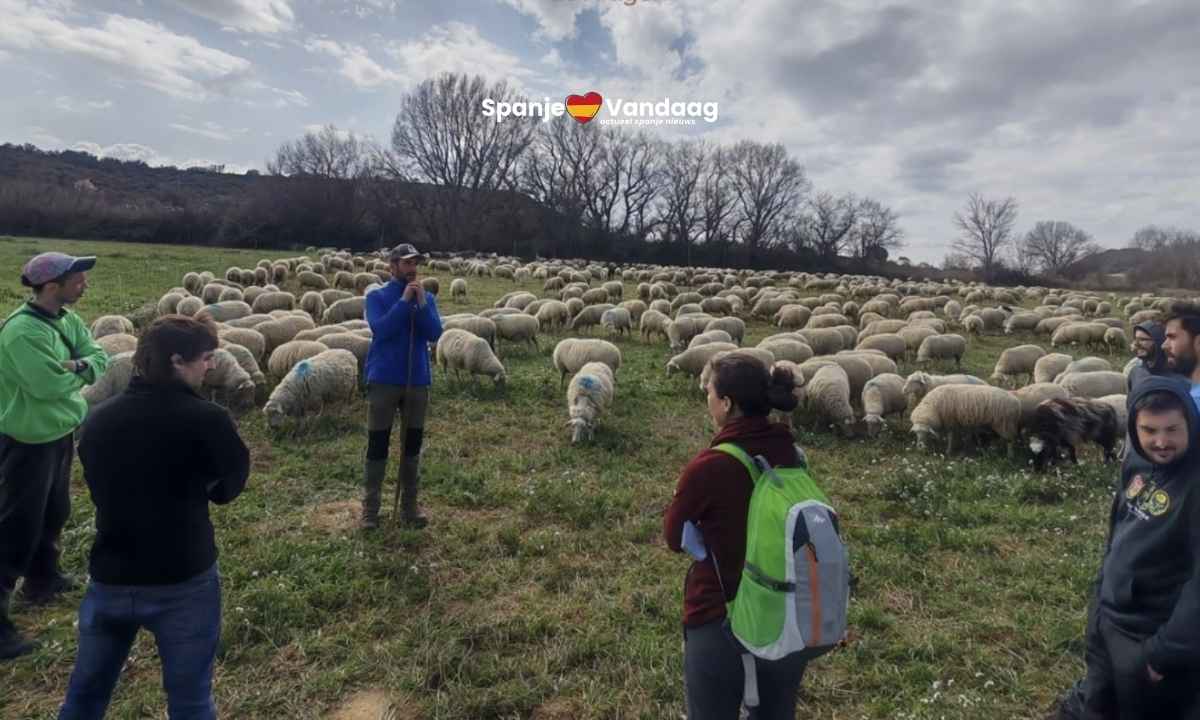 In de bergen van Aragón groeit een nieuwe generatie herders op