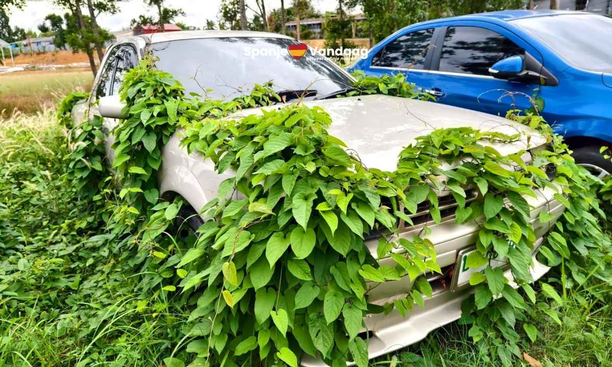 Spanje probeert het probleem van ‘coche okupa’ aan te pakken met nieuwe regels